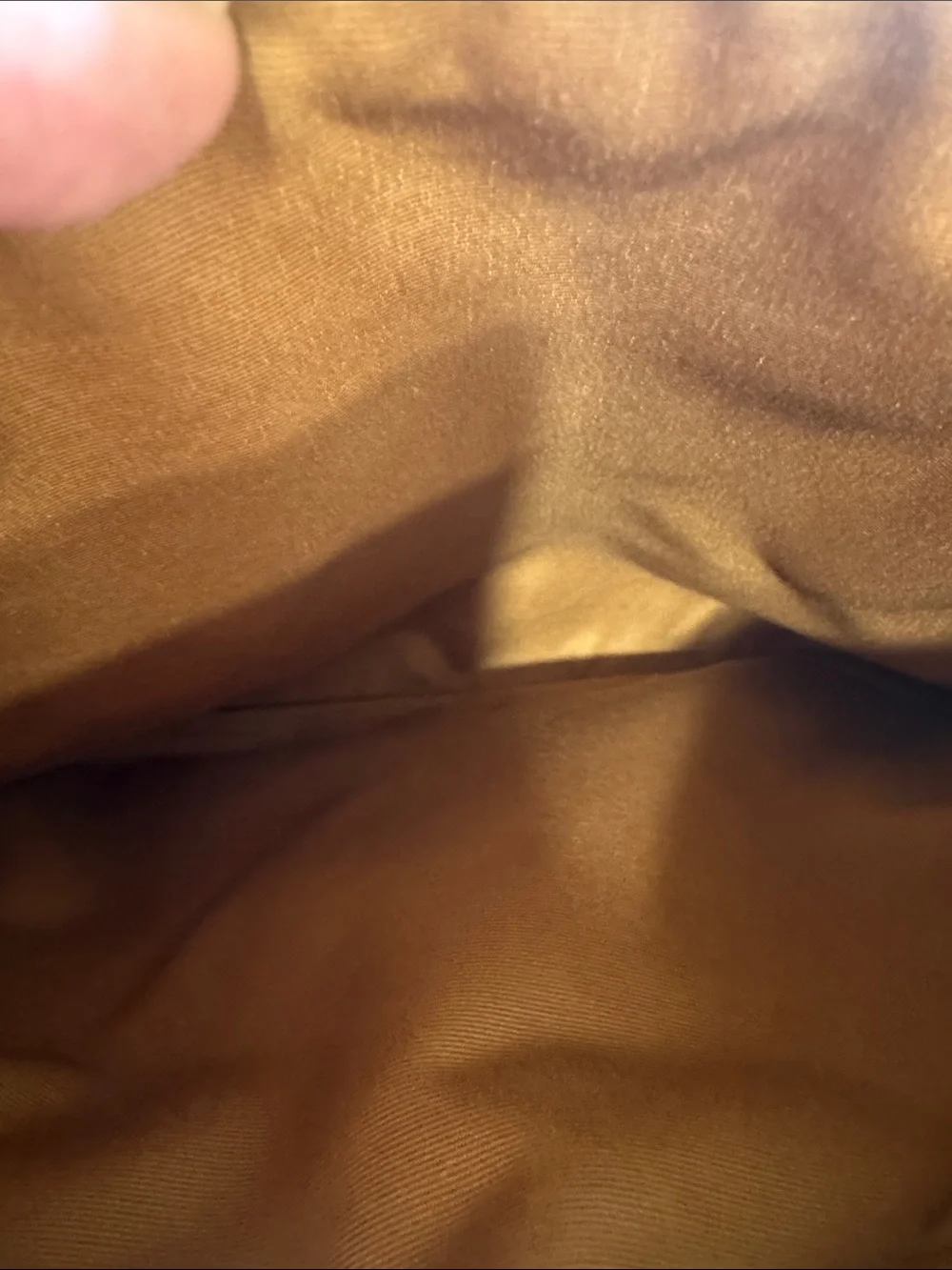 Coach Etta Carryall Cognac Leather Shoulder Bag with Gold Hardware